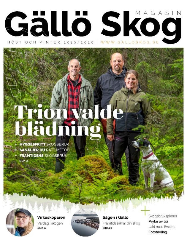 Gällo skog magasin 2019